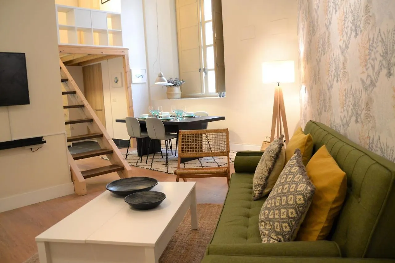 Encantador Apartamento En El Centro Historico De Malaga Apartment Spain